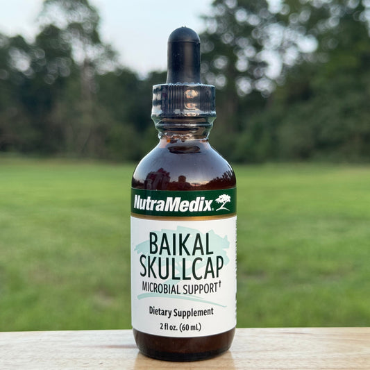 Baikal Skullcap