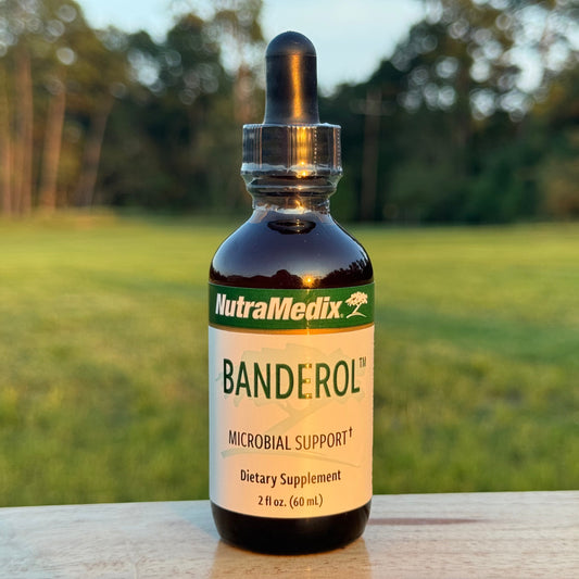 Banderol