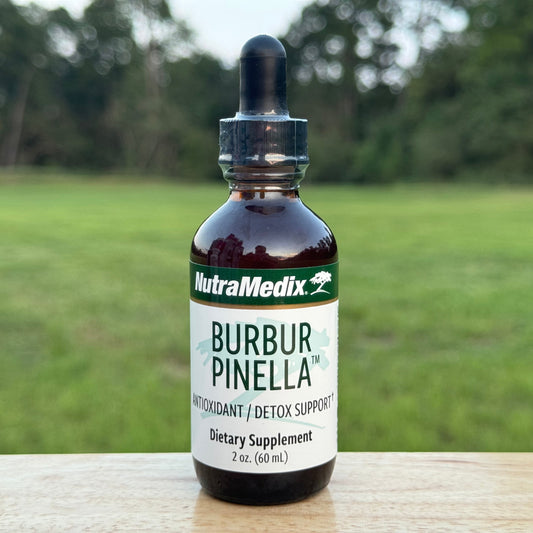 Burbur-Pinella