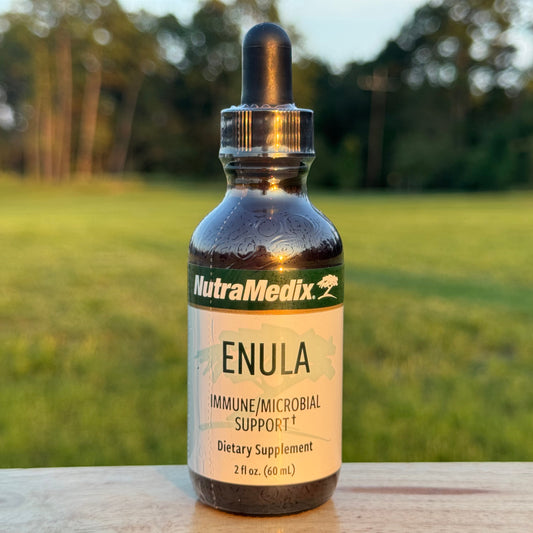 Enula