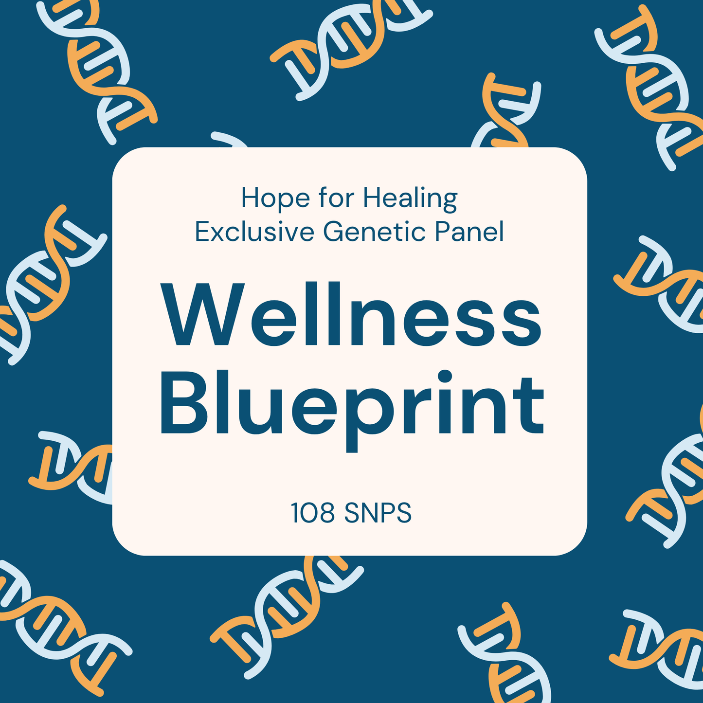 Wellness Blueprint Package
