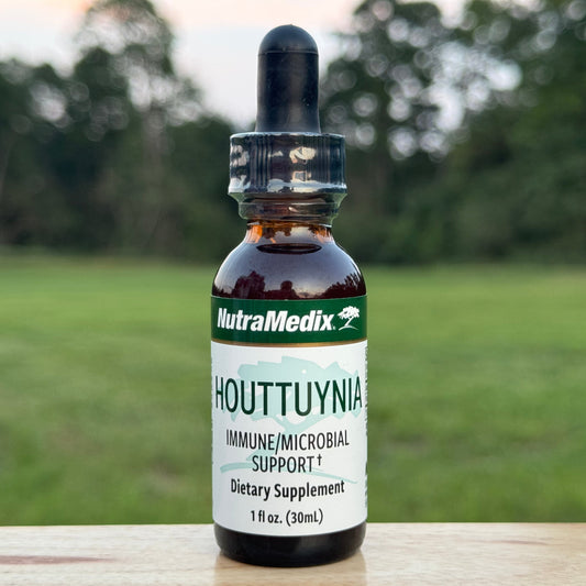 Houttuynia