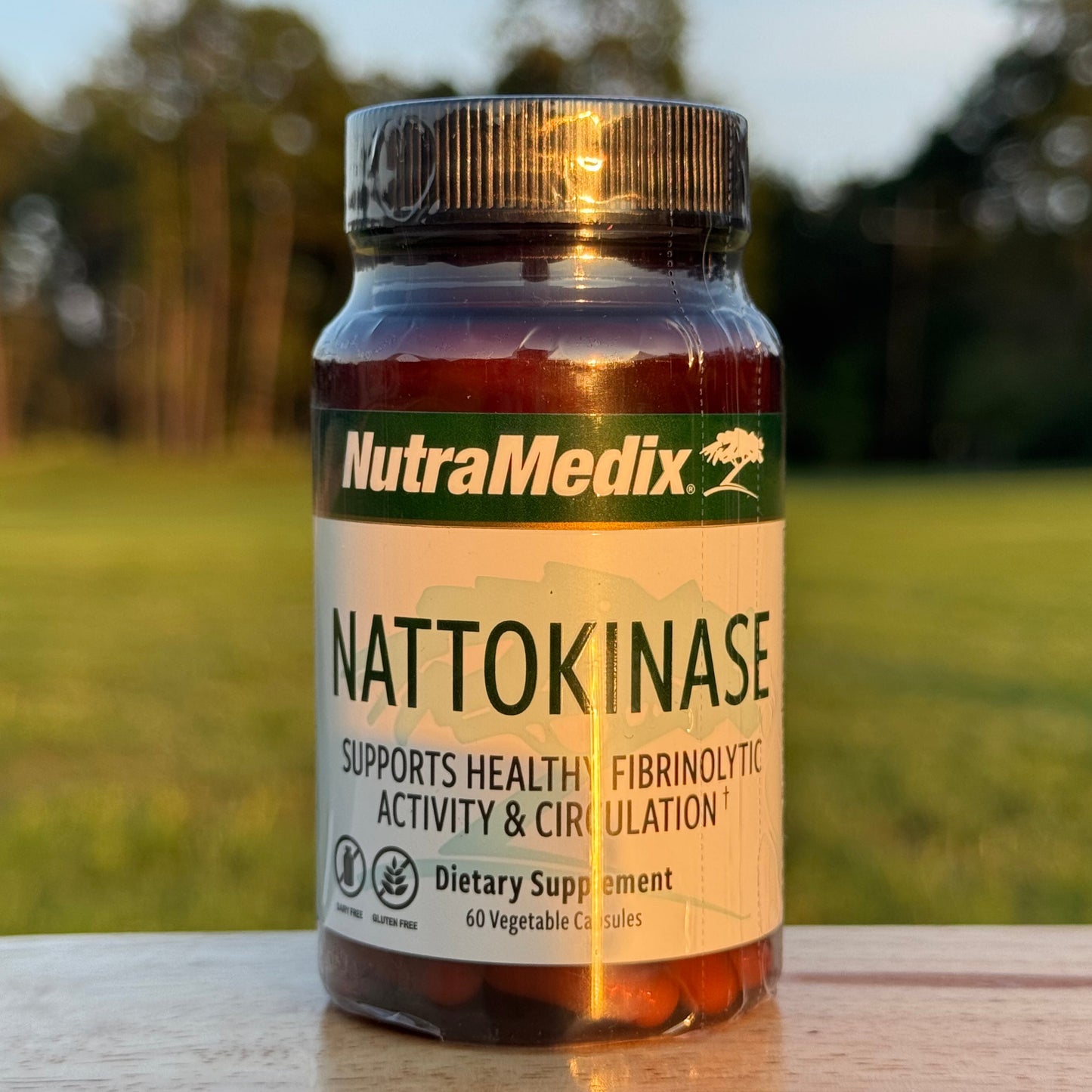 Nattokinase