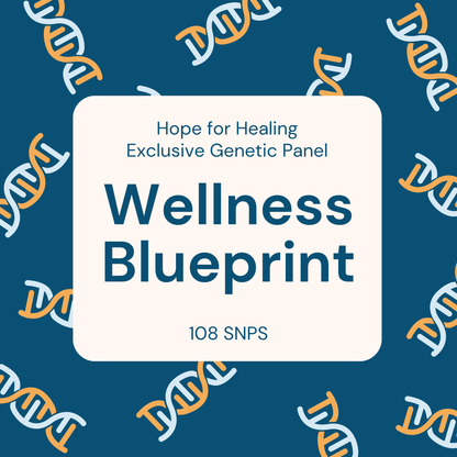Wellness Blueprint Package