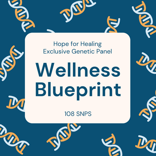 Wellness Blueprint Package
