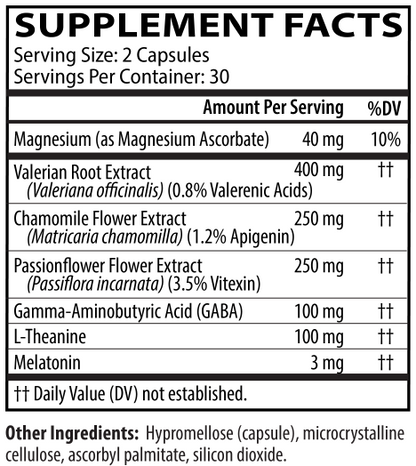 Neuro Night Essentials